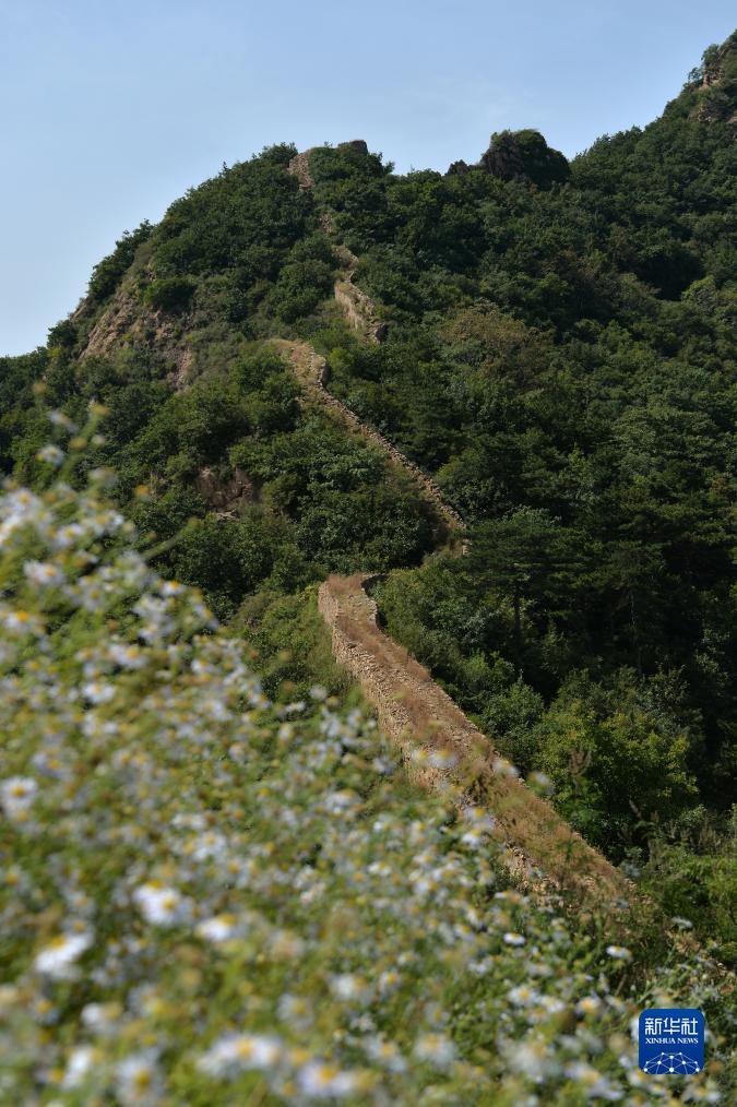 万达娱乐登录
